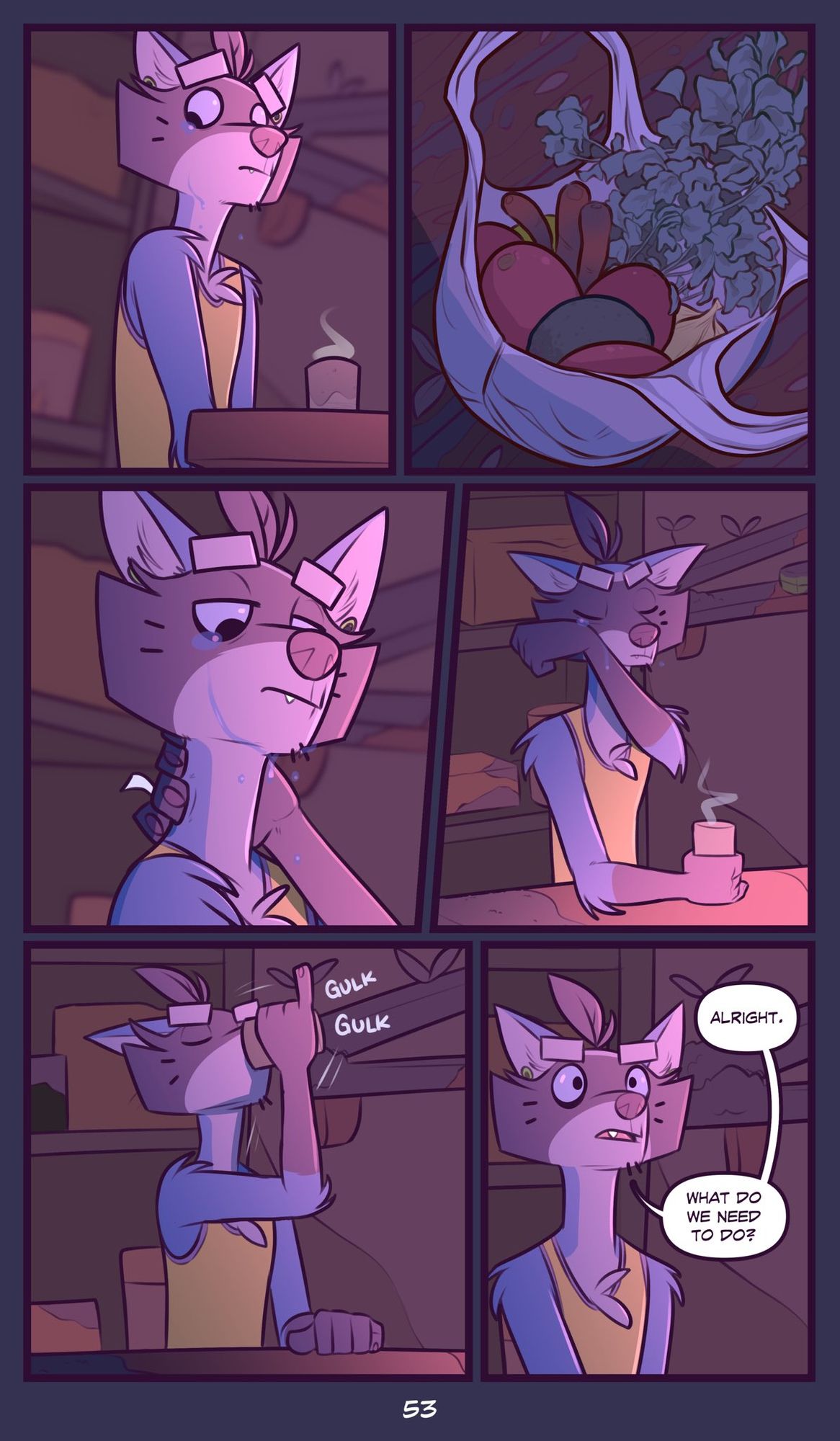 Page 53